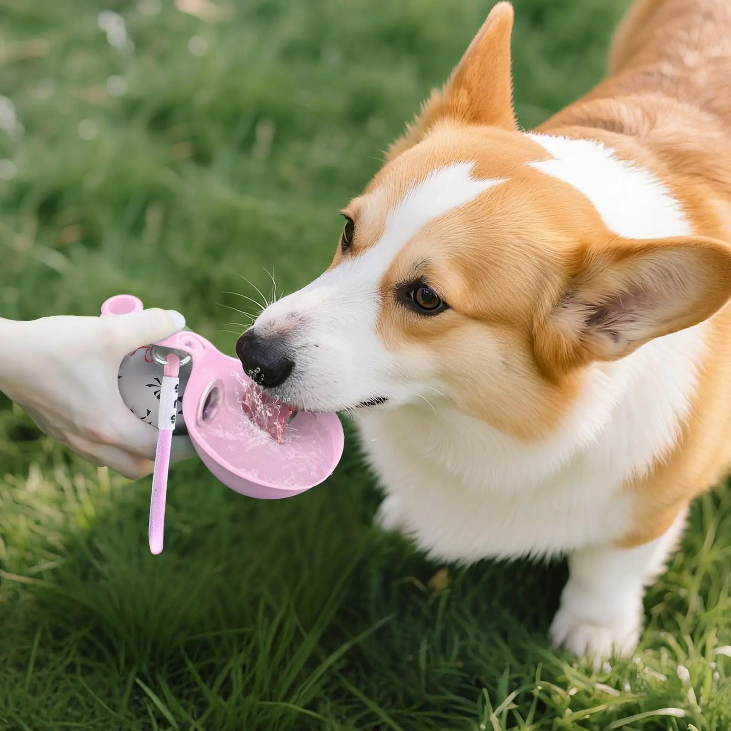 2-in-1 Portable Stainless Steel Dog Water Bottle