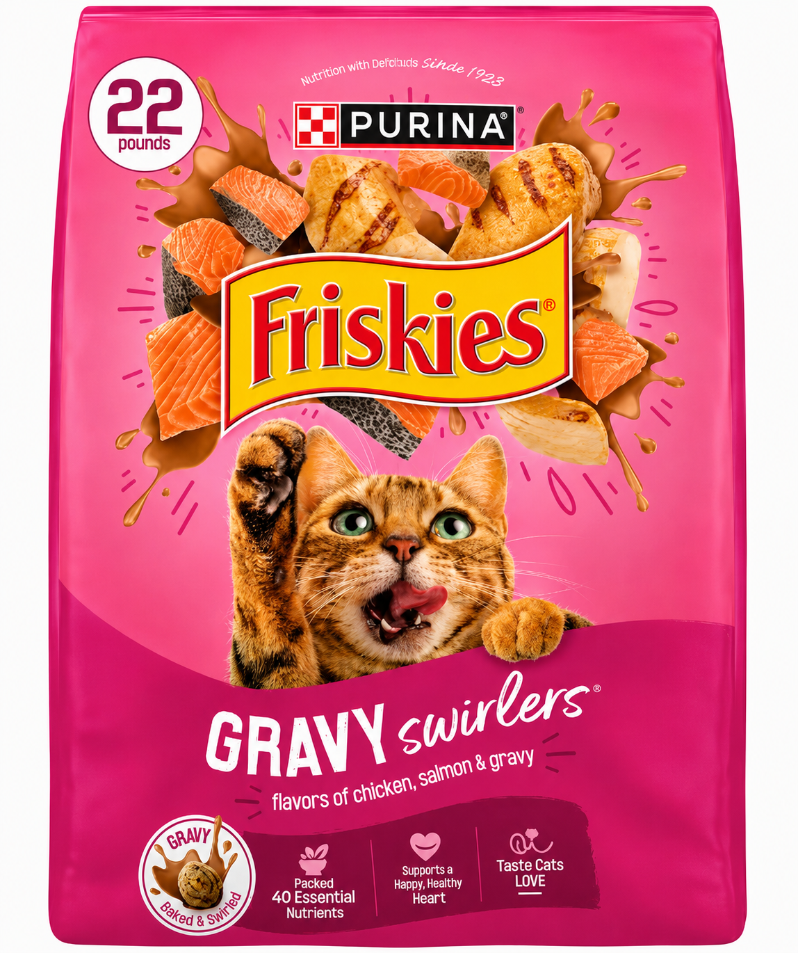 Gravy Swirlers Dry Cat Food (22 lb)
