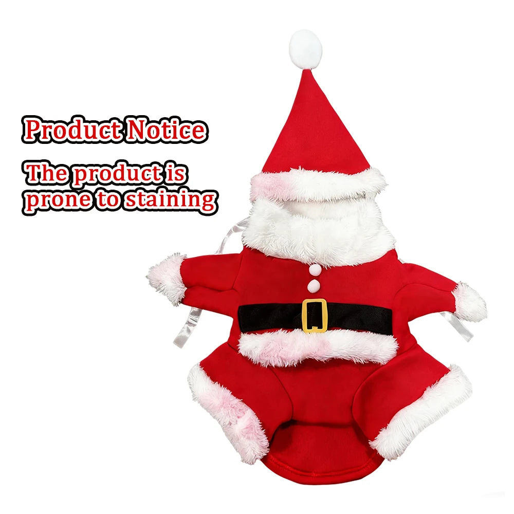 Santa Pet Costume