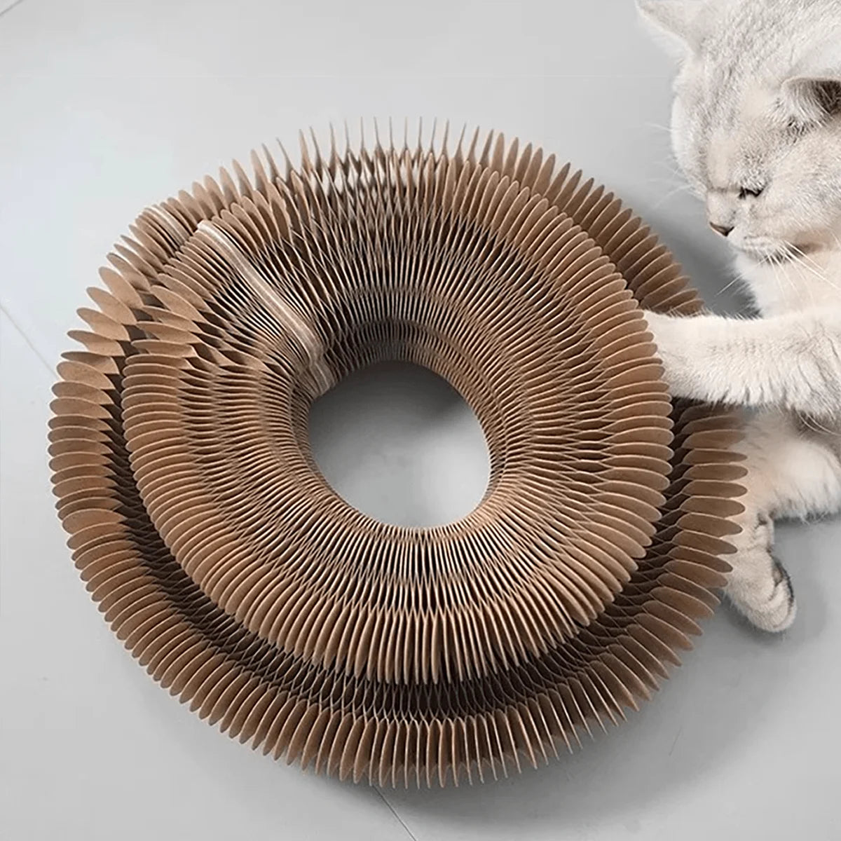 Foldable Cat Scratcher Toy with Bell & Catnip