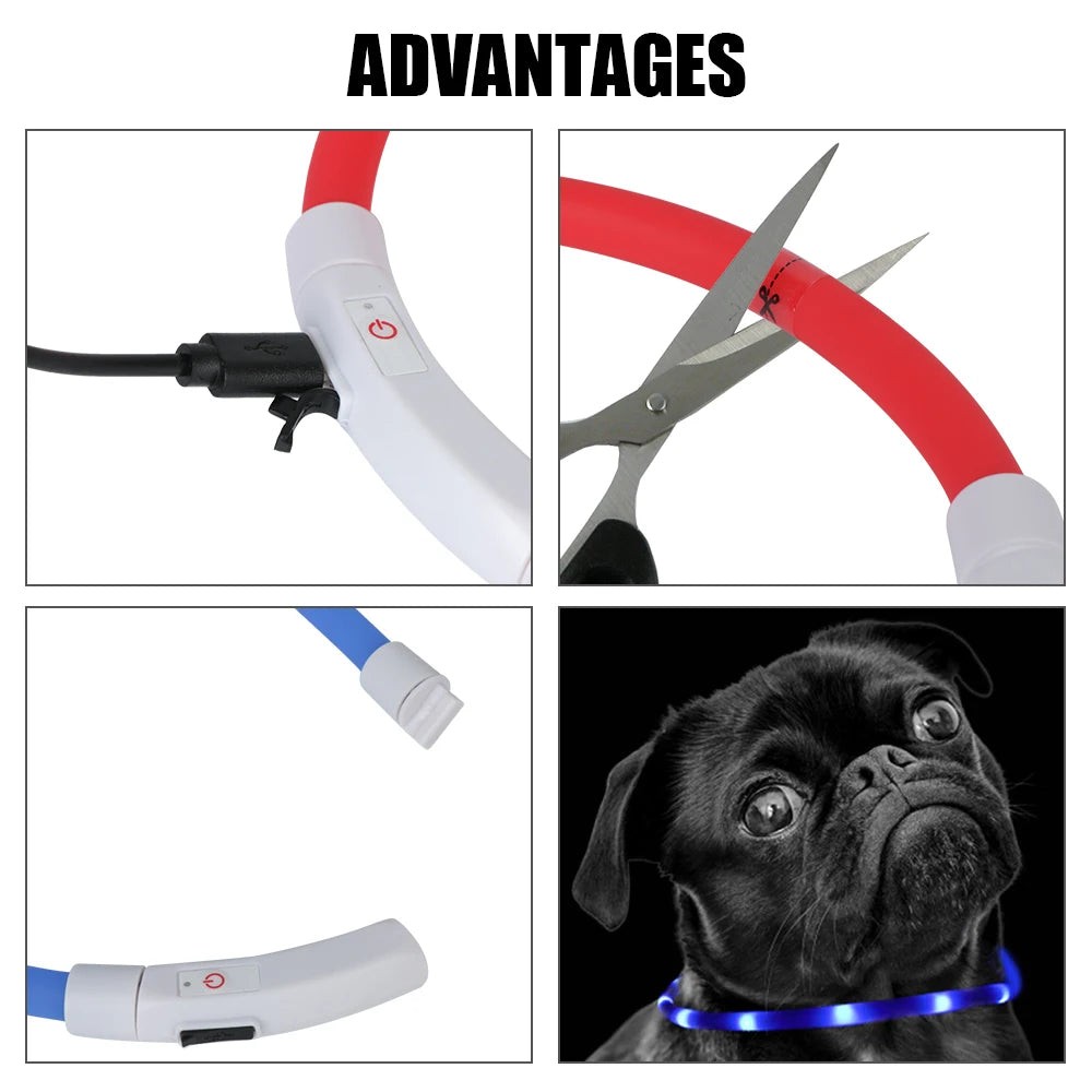 USB Rechargeable LED Dog Safety Collar