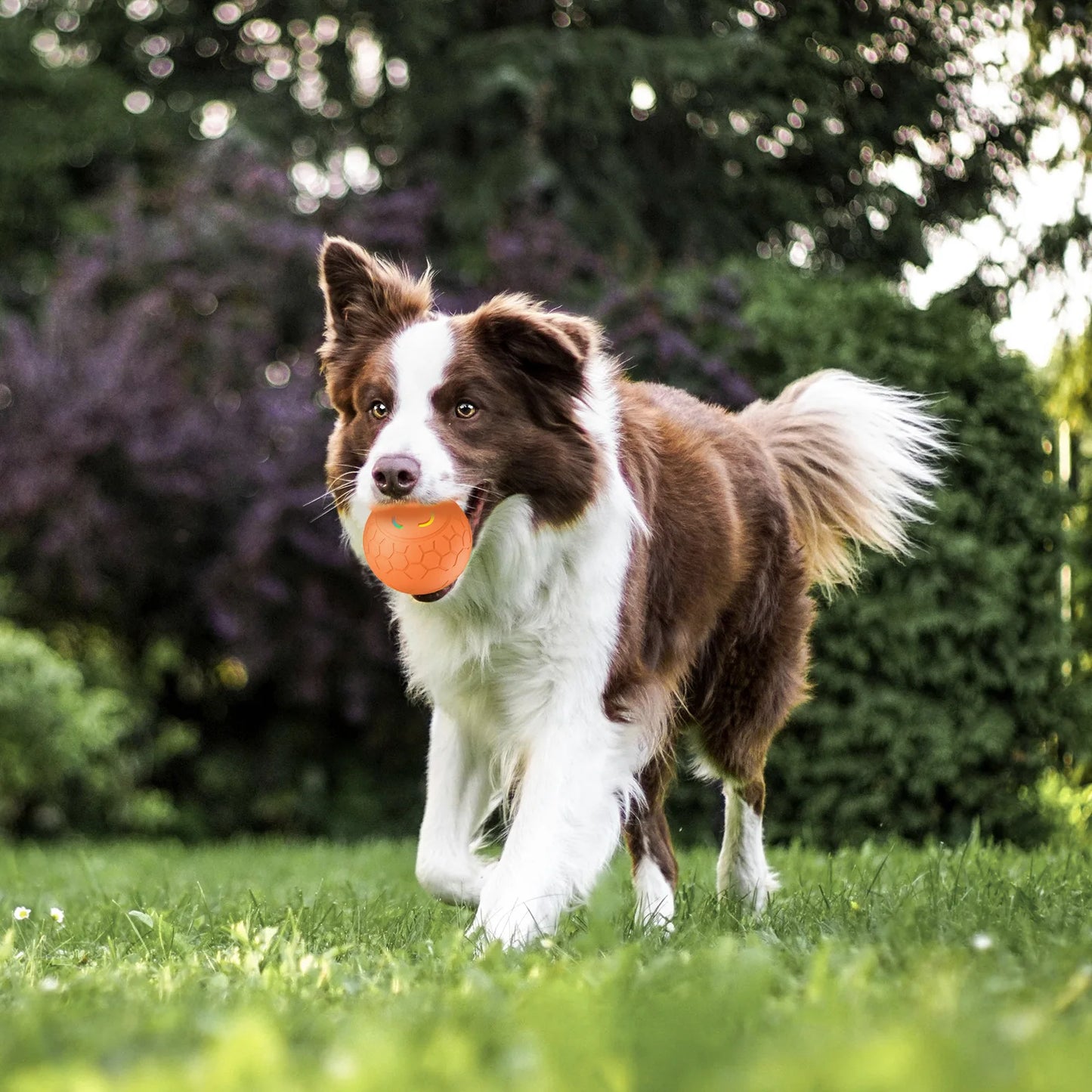 Smart LED Interactive Dog Ball Toy