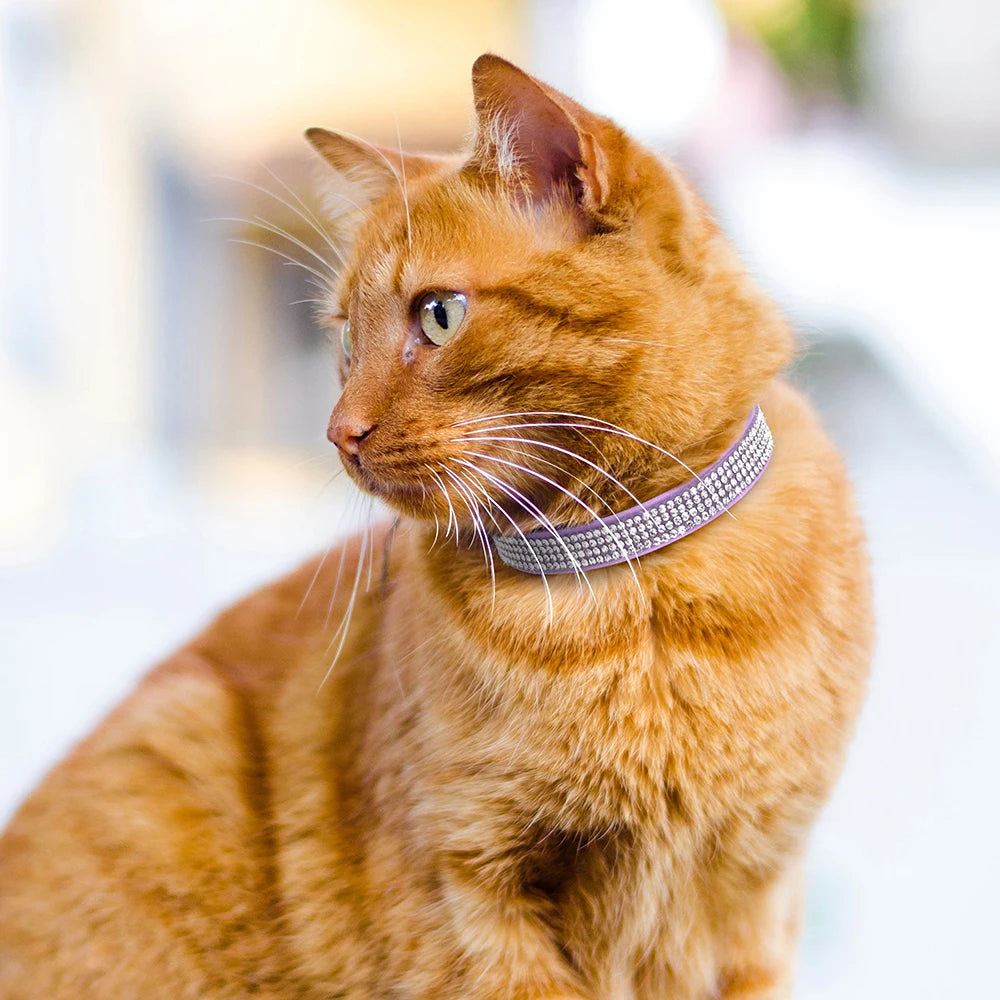 Soft Suede Cat Collar with Bell & Safety Buckle