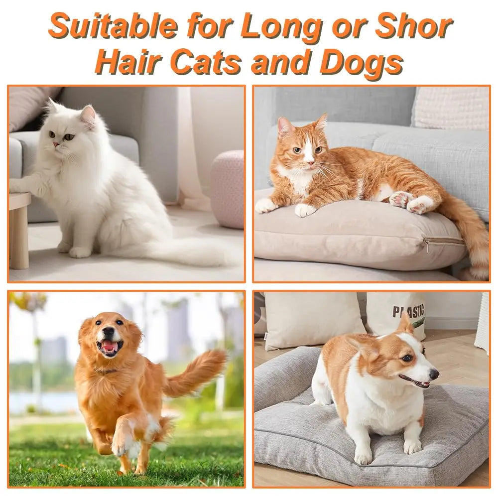 Steam Spray Pet Grooming Massage Brush