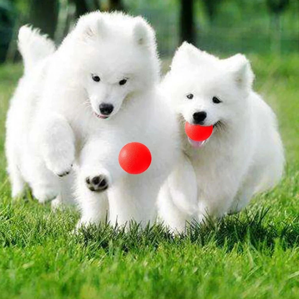 Indestructible Rubber Dog Ball Toy