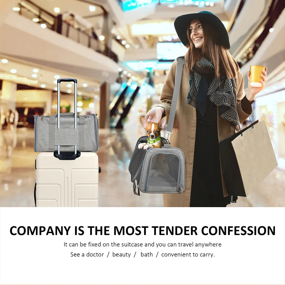 Airline-Approved Pet Carrier Backpack