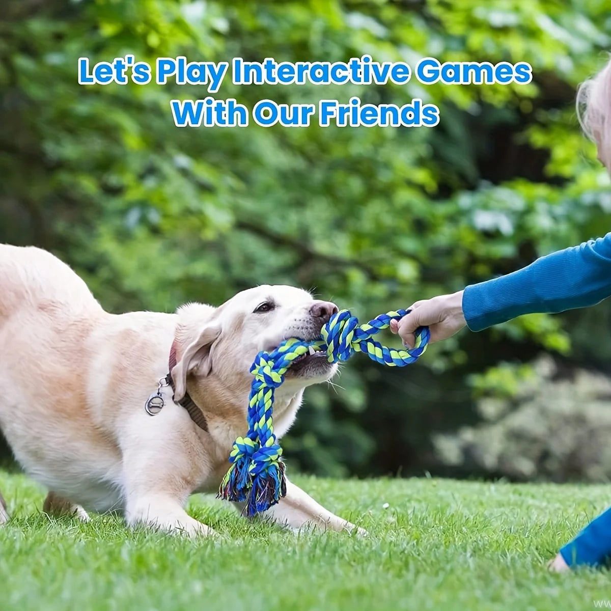 Durable Knot Rope Dog Toy