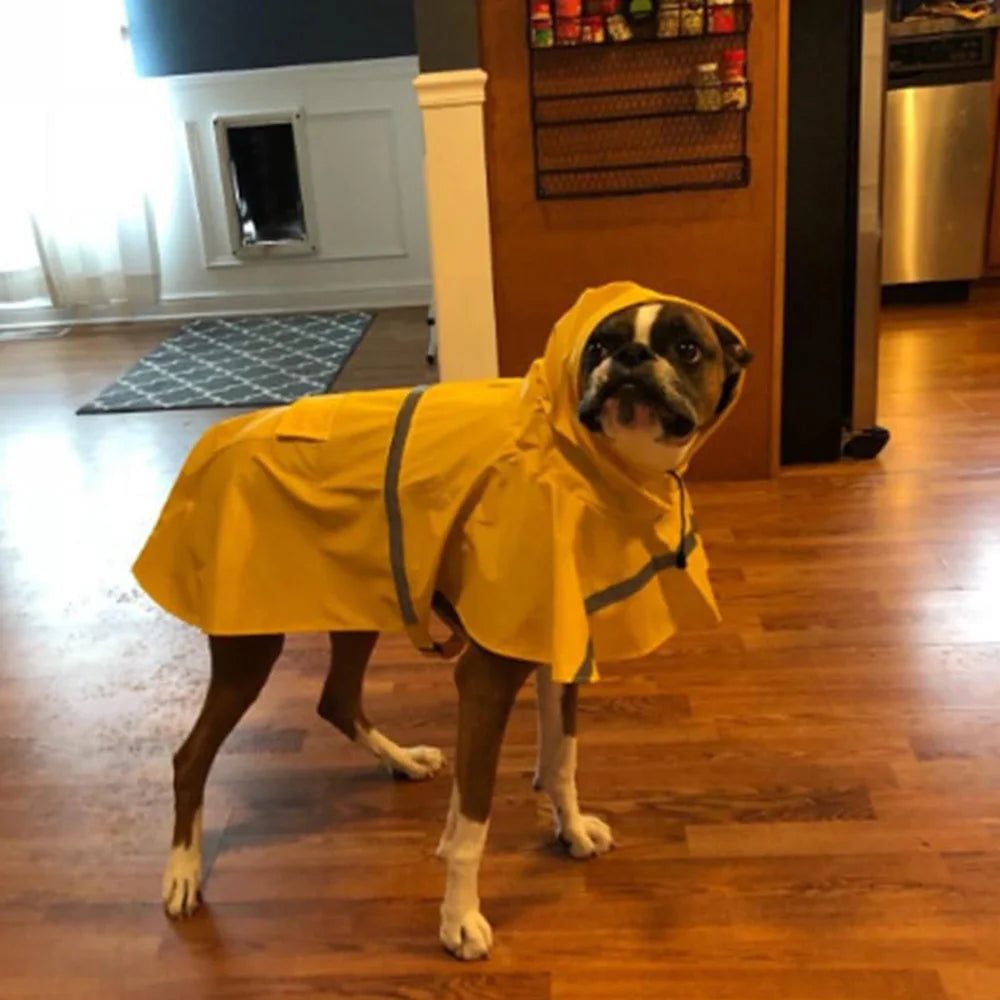 Pet Hooded Raincoat