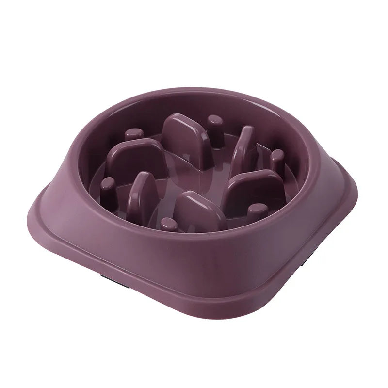 Non-Slip Slow Feeder Bowl for Dogs & Cats