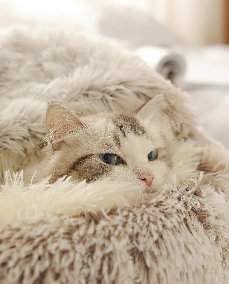 Warm Plush Semi-Enclosed Cat Bed