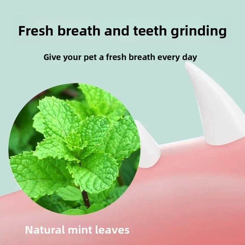 Rotatable Wall-Mounted Catnip Ball Toy