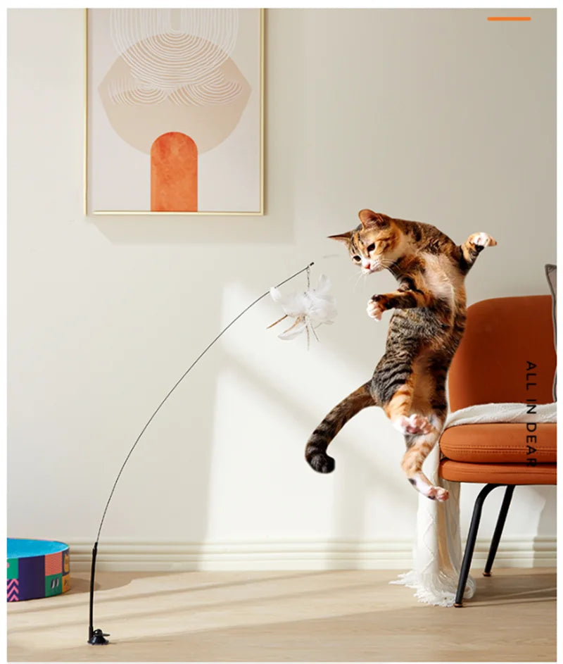 Interactive Bird Feather Cat Teaser Toy