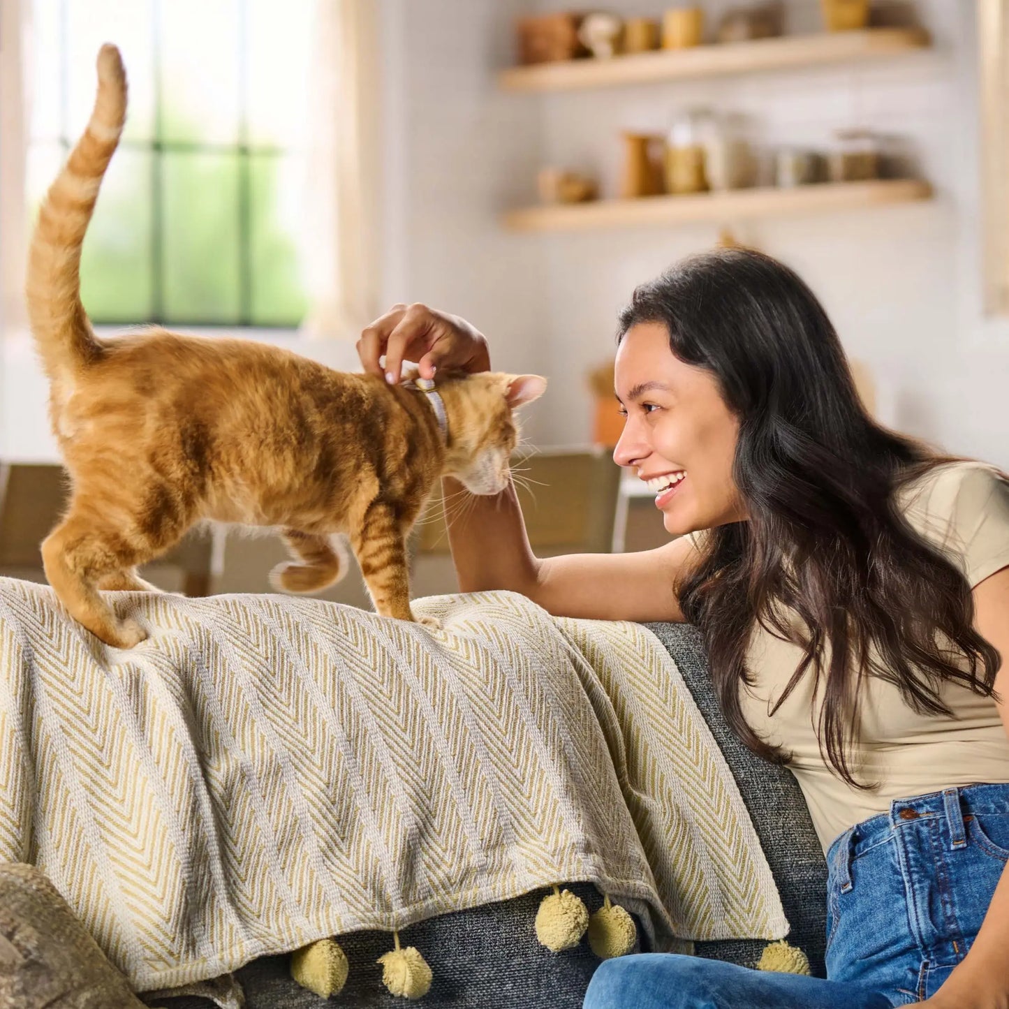 Salmon & Chicken Dry Cat Food