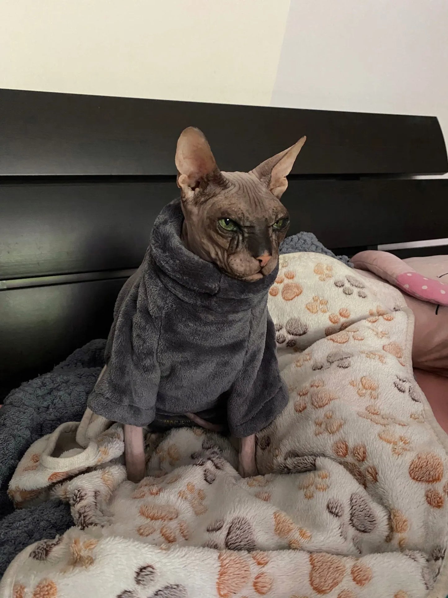 Sphynx Cat Hoodie