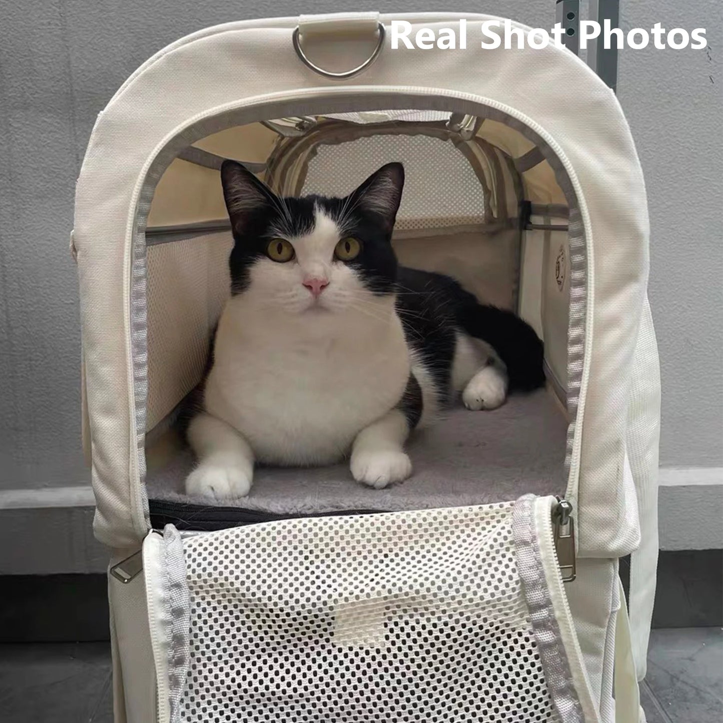 Double Compartment Rolling Pet Carrier