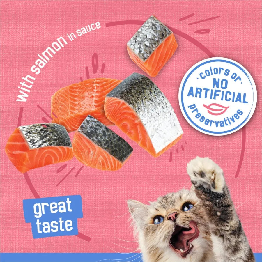 Salmon Shreds Wet Cat Food (24-Pack)