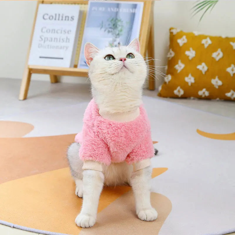 Fruit Print Pet Hoodie