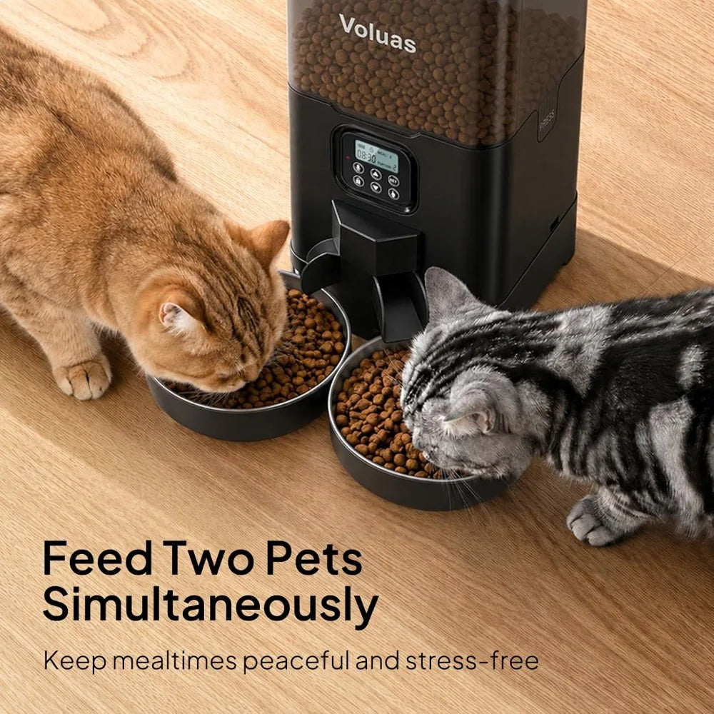 6L Automatic Dual Pet Feeder with Stainless Steel Bowls