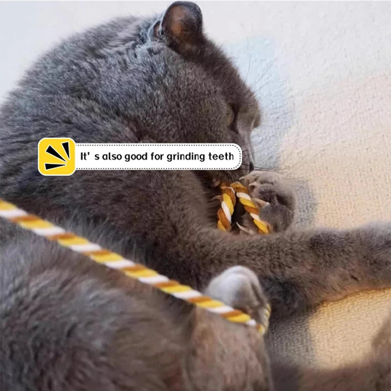 Interactive Cat Teaser Wand Toy