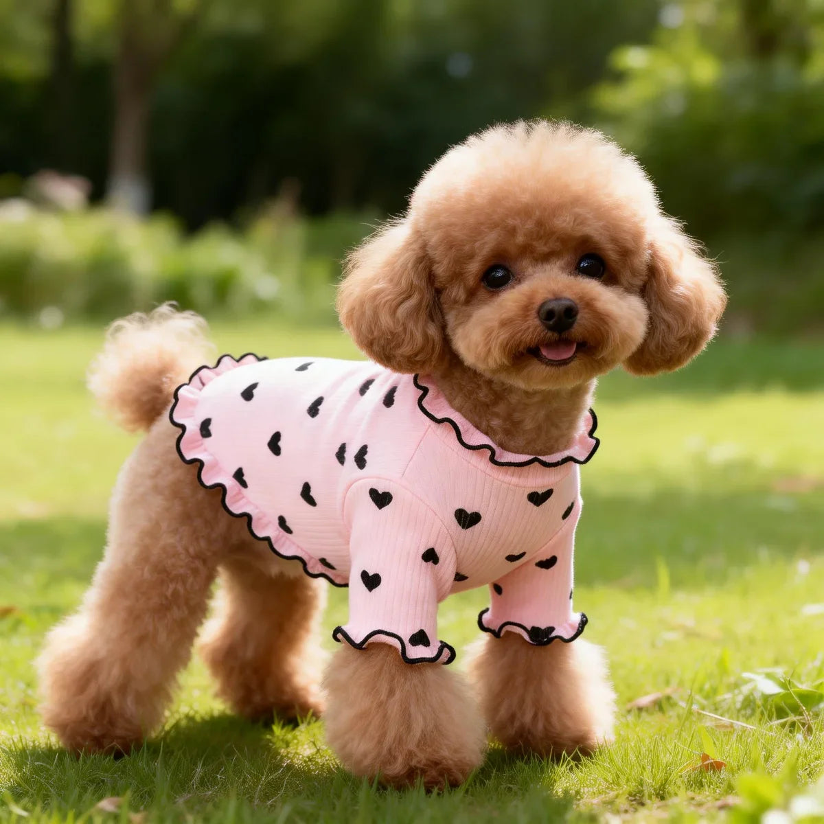 Heart Print Pet T-Shirt