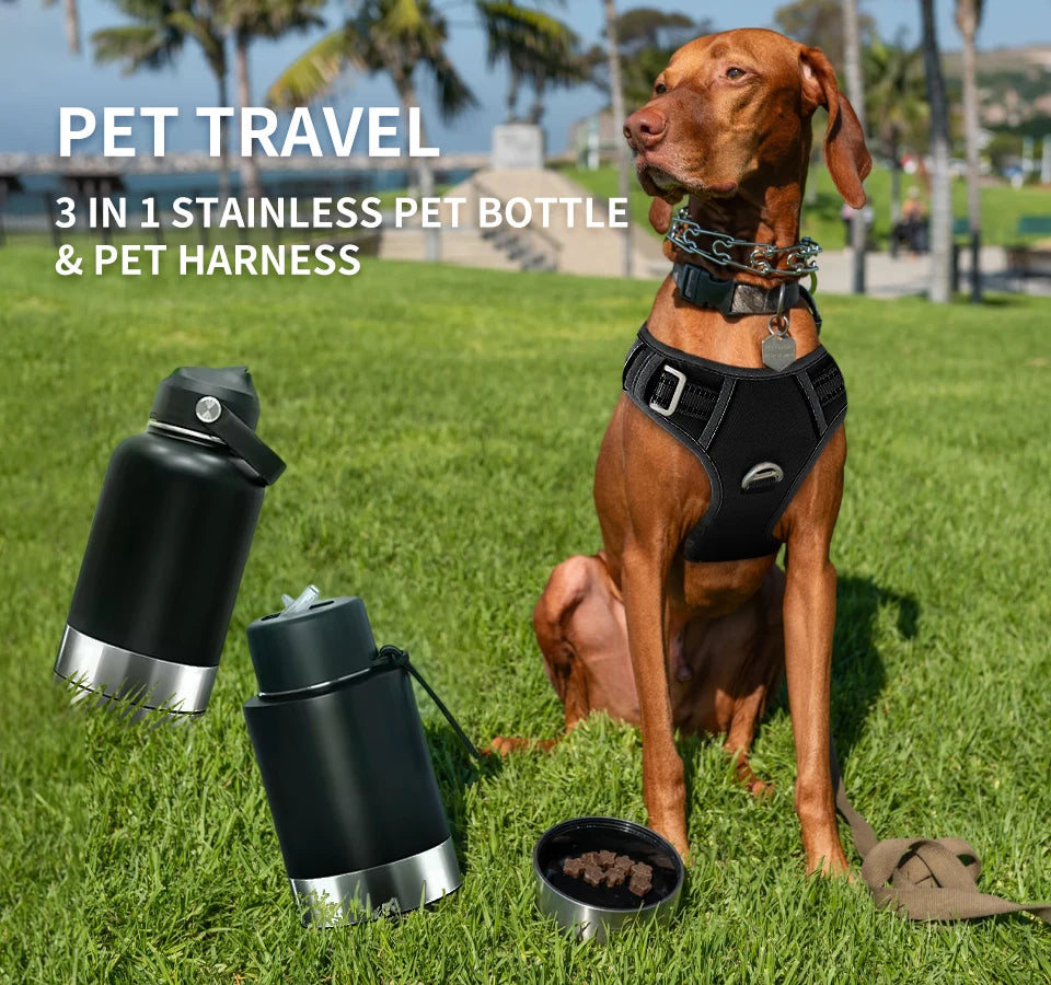 3-in-1 Stainless Steel Pet Water Bottle