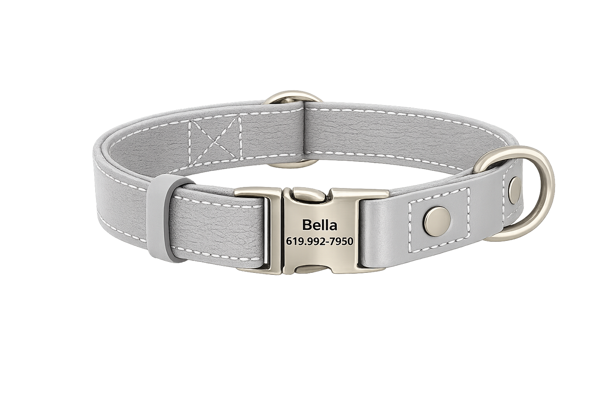 Personalized Nylon Dog Collar & Leash Set