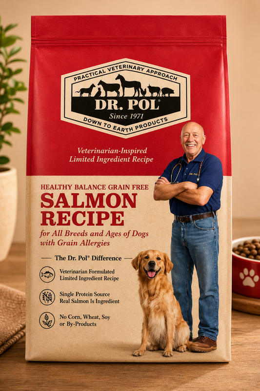 Healthy Balance Grain-Free Salmon Dog Food – 4 lb