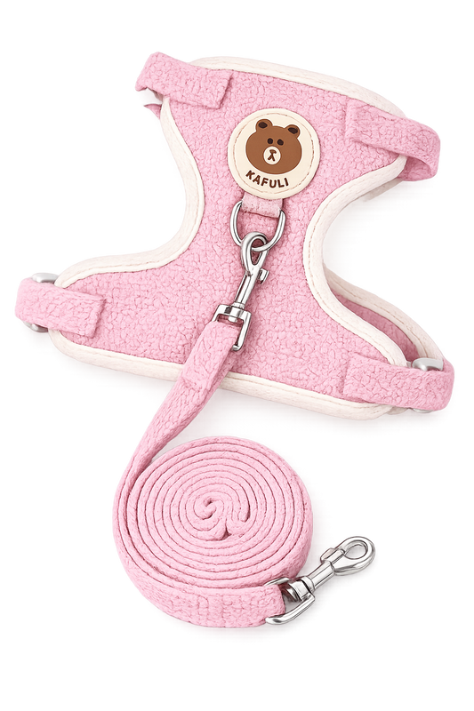 Soft Padded Pet Harness & Leash Set