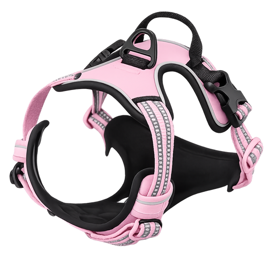 Dog Collar, Harness & Leash Set