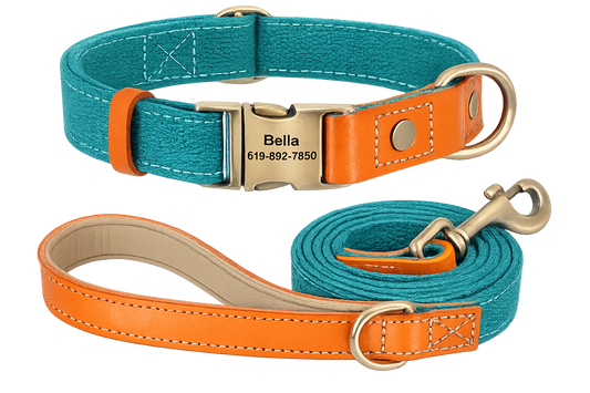 Personalized Nylon Dog Collar & Leash Set
