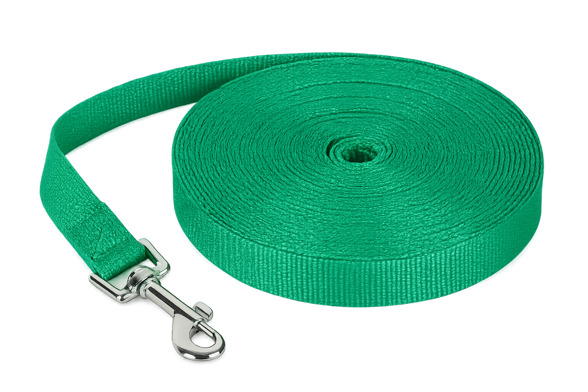 Nylon Long Dog Training & Walking Leash