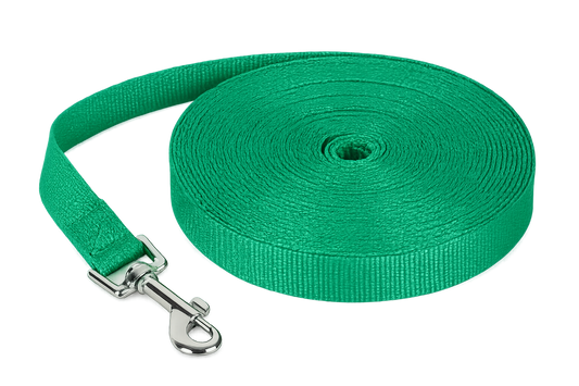 Nylon Long Dog Training & Walking Leash
