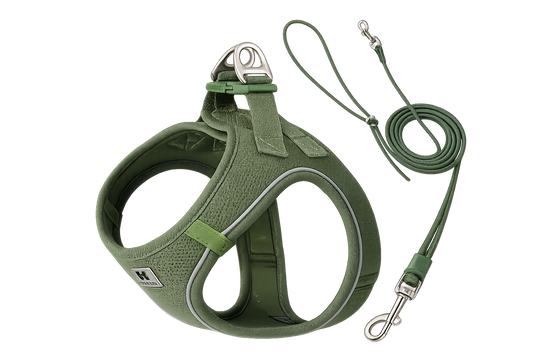 Reflective Adjustable Dog Harness & Leash Set