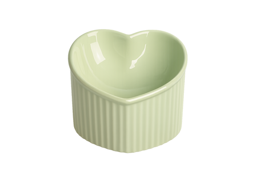 Slanted Elevated Ceramic Pet Bowl with Stand