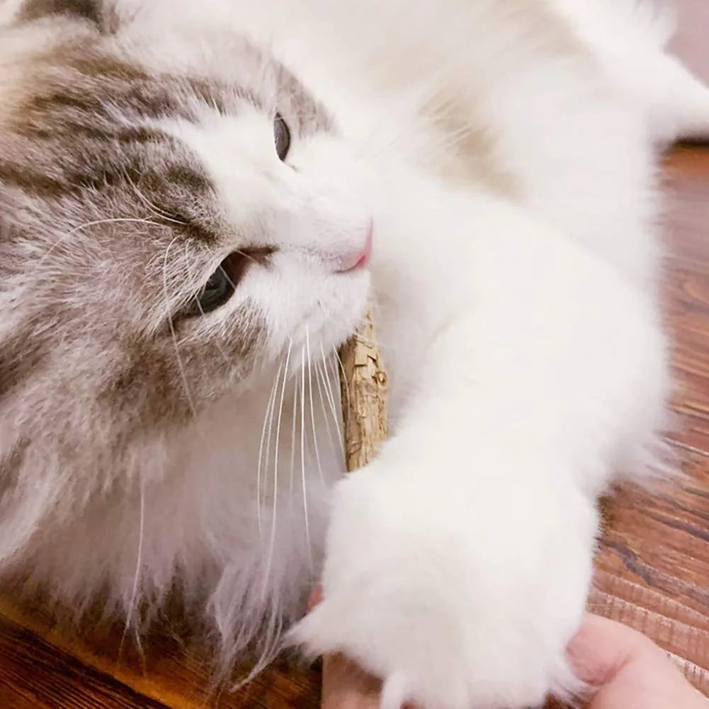 15-Piece Natural Silvervine Cat Chew Stick Set