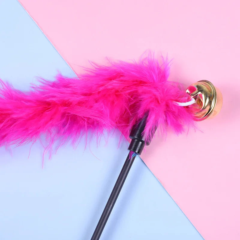 5-Piece Feather Cat Teaser Wand Toy Set
