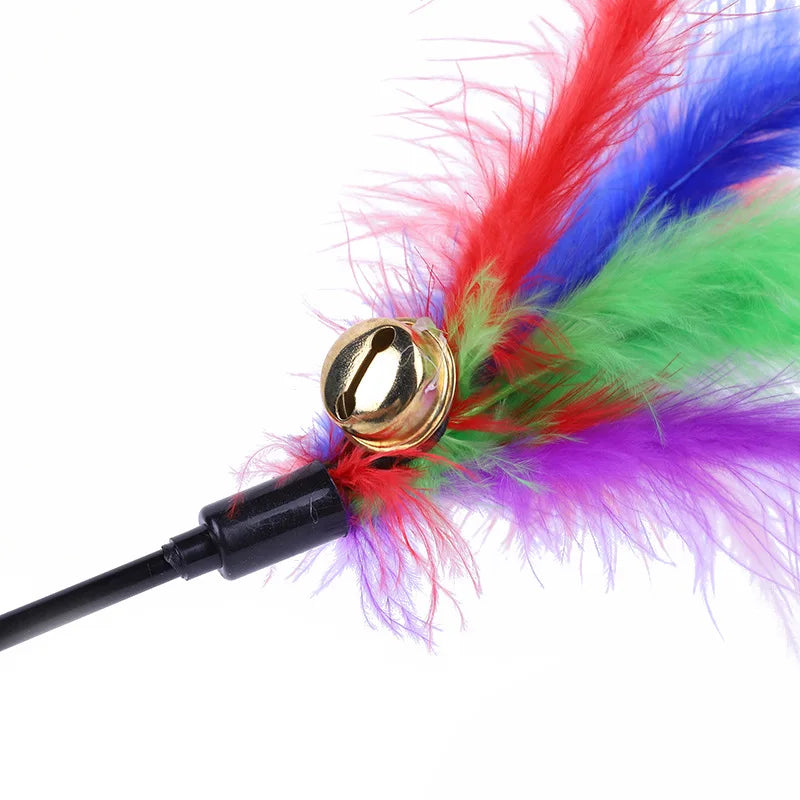 5-Piece Feather Cat Teaser Wand Toy Set