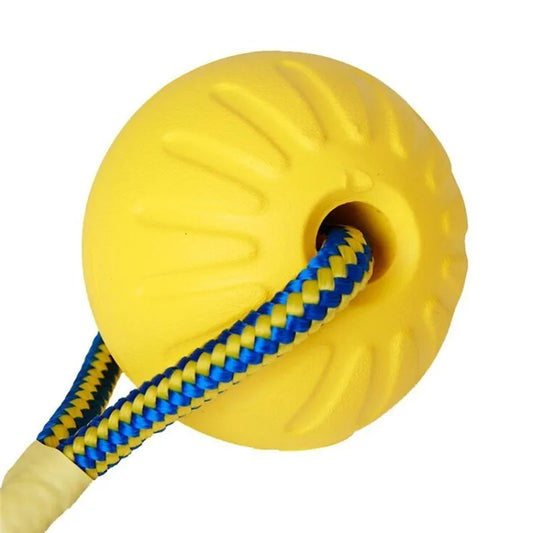 Rubber Dog Chew Ball with Rope