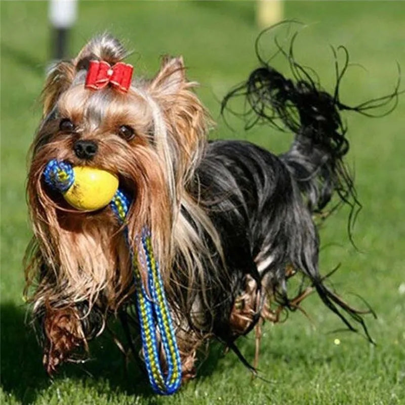 Rubber Dog Chew Ball with Rope