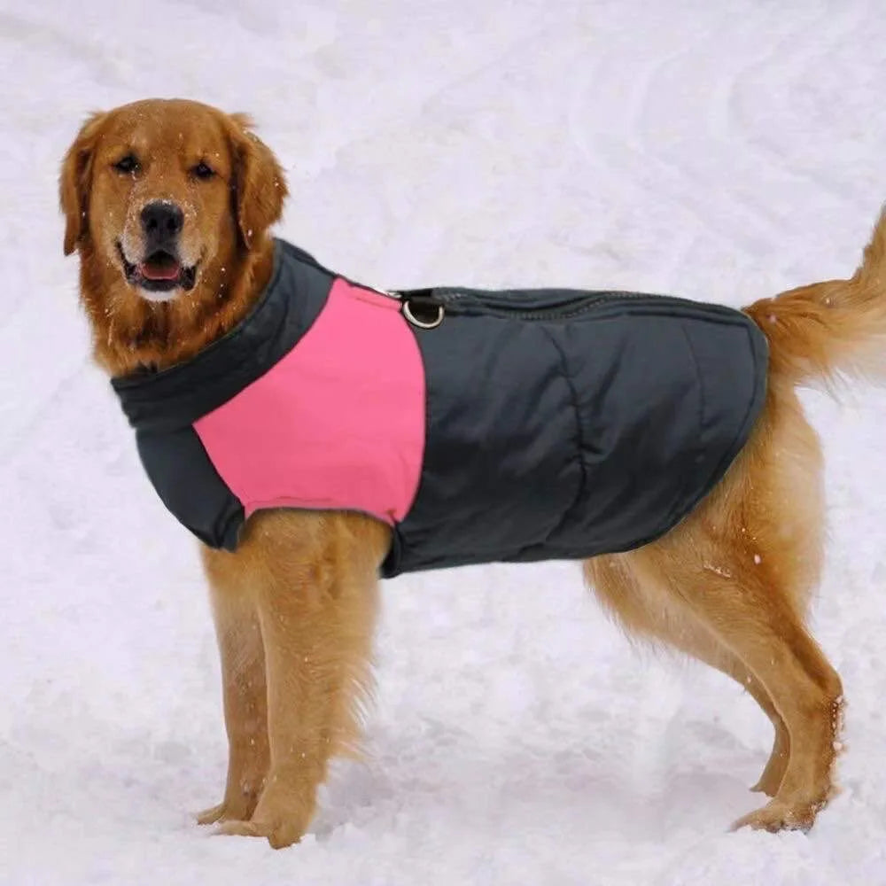 Winter Dog Vest Jacket