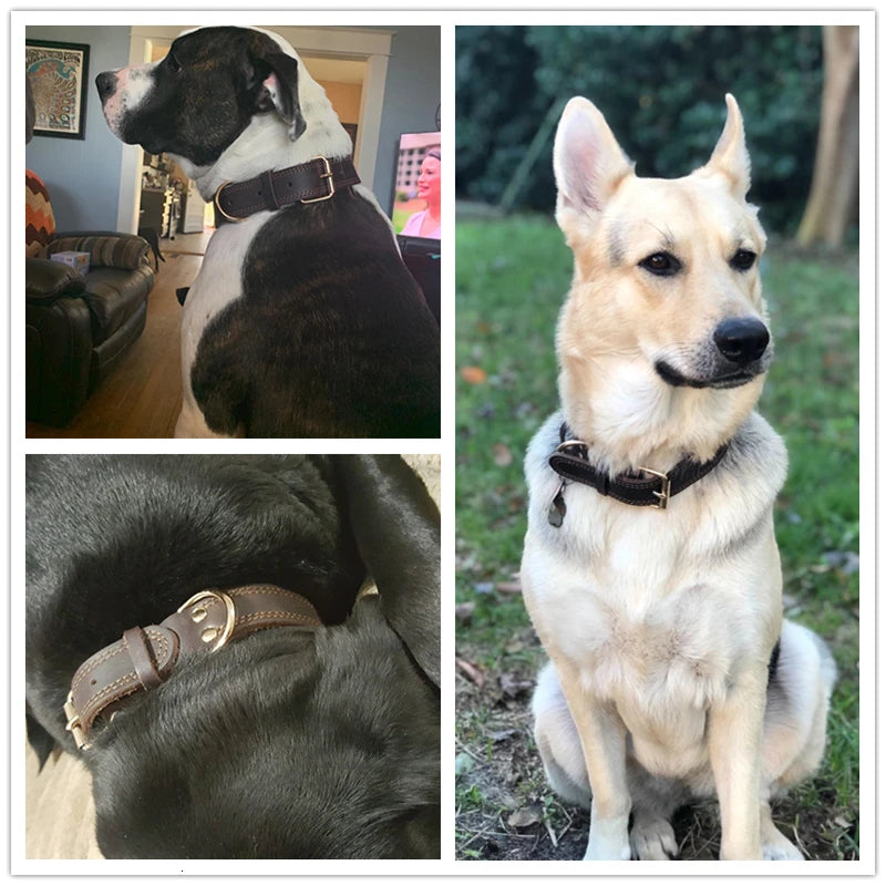Genuine Leather Heavy-Duty Dog Collar