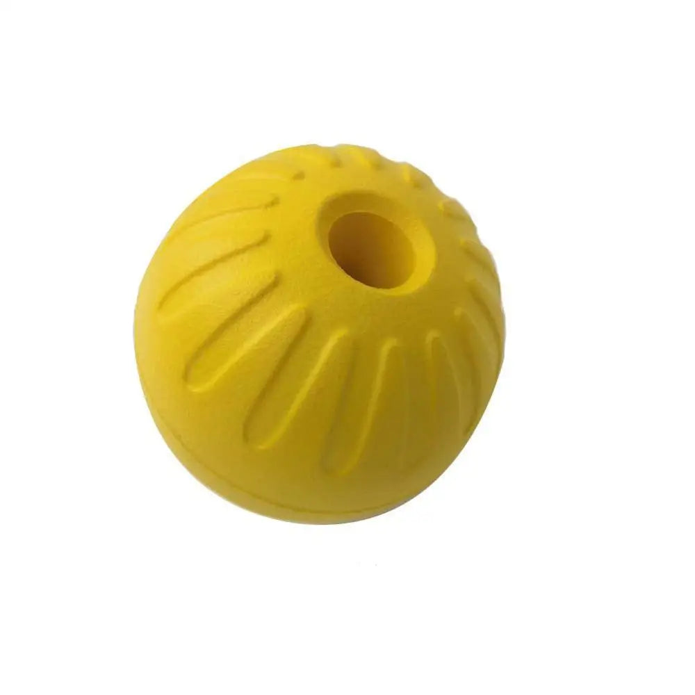 Rubber Dog Chew Ball with Rope