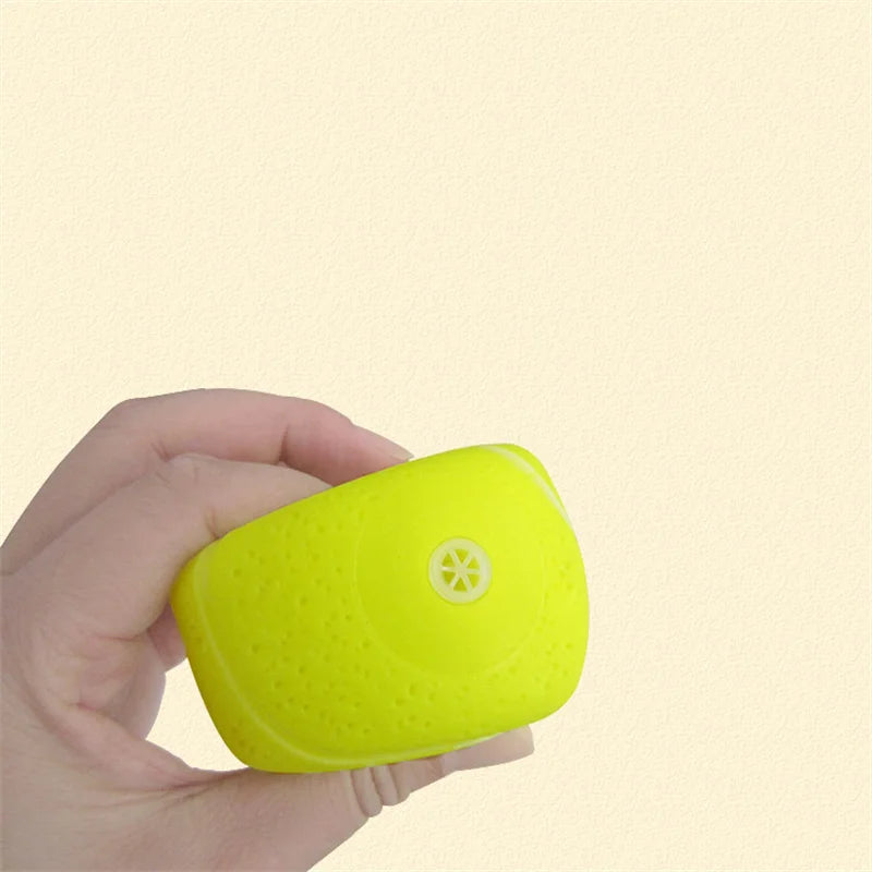 Squeaky Rubber Dog Ball Toy