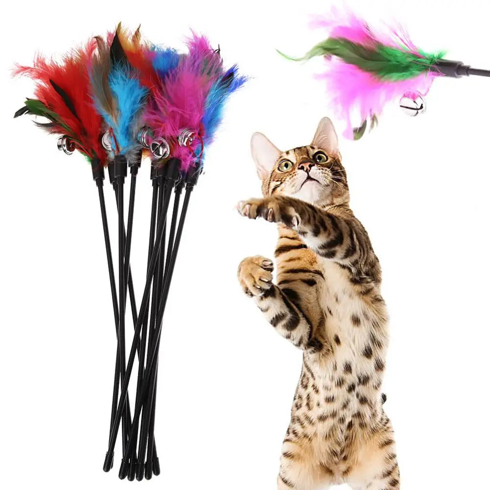 5-Piece Feather Cat Teaser Wand Toy Set