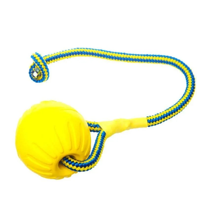 Rubber Dog Chew Ball with Rope