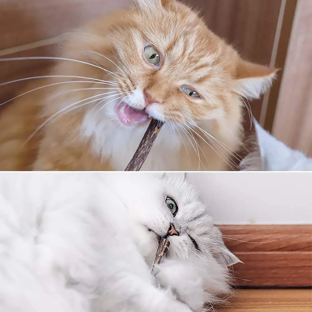15-Piece Natural Silvervine Cat Chew Stick Set