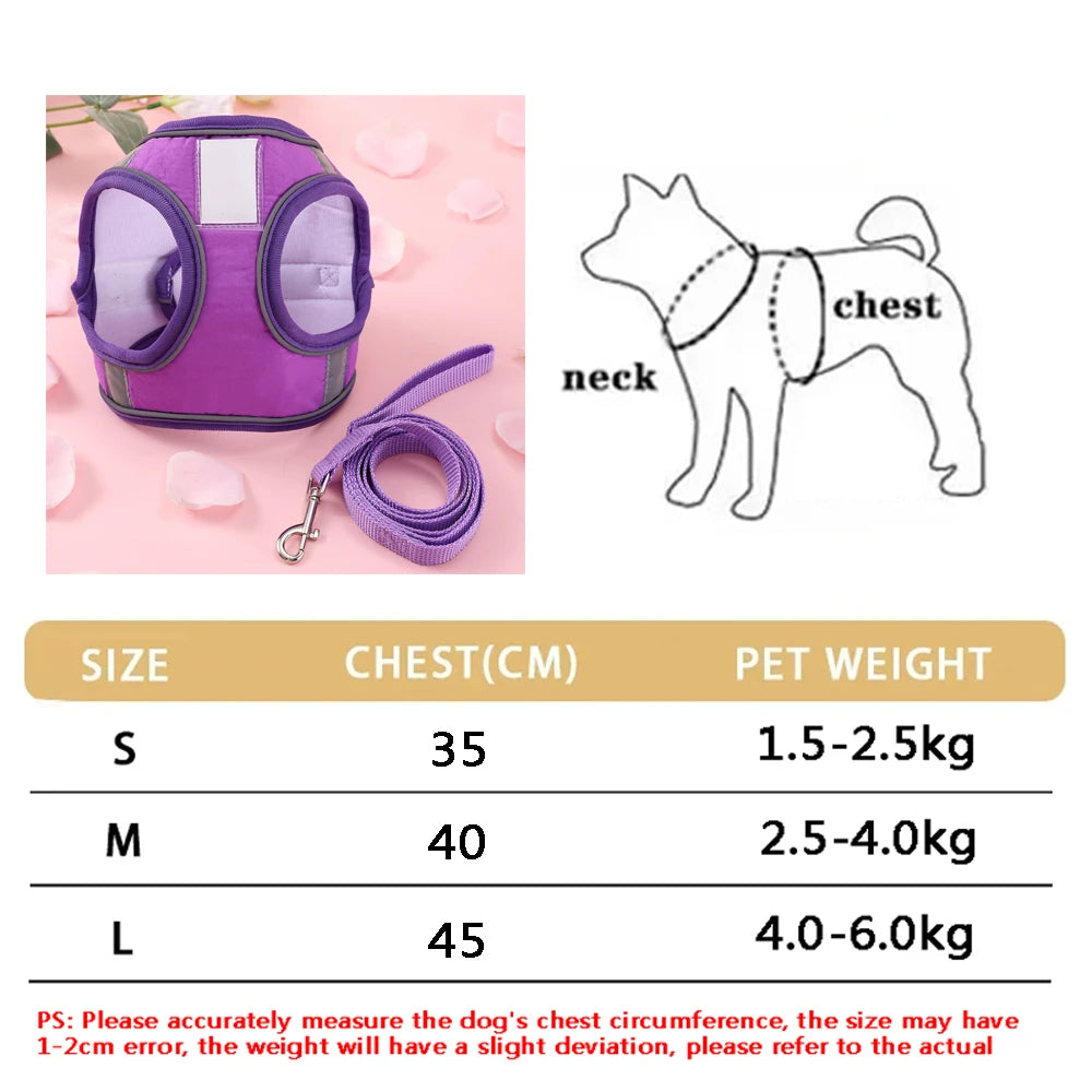 Soft Adjustable Dog Harness & Leash Set