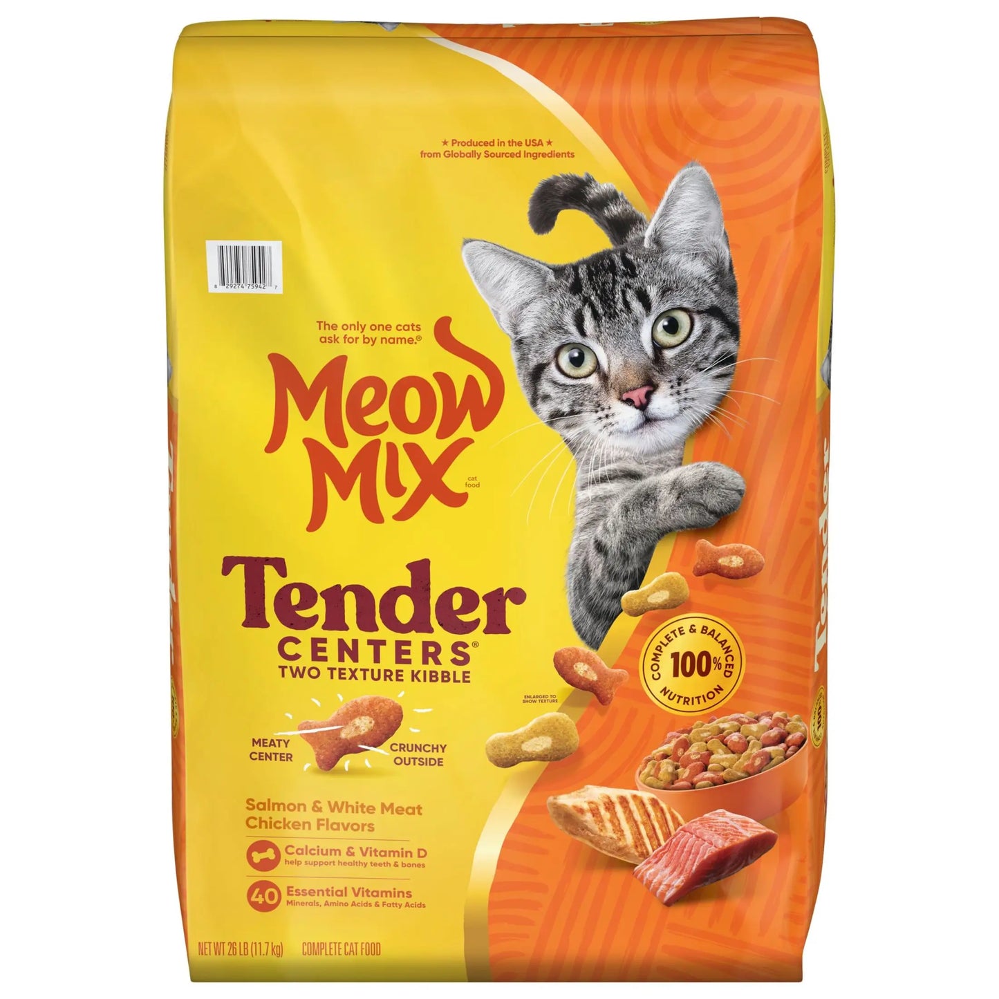 Salmon & Chicken Dry Cat Food