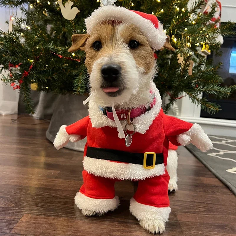 Santa Pet Costume