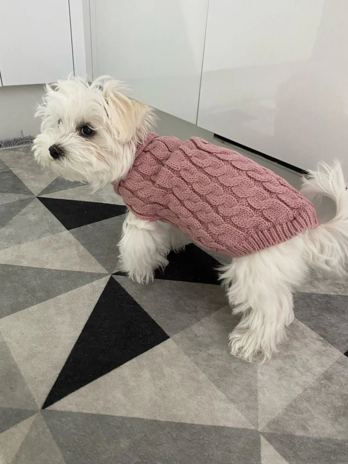 Knitted Pet Sweater